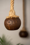 Vilakku Coconut Shell Lamp