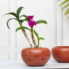 Latha Terracotta Planter